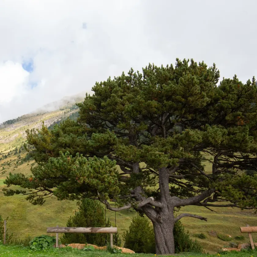 Tardor Andorra